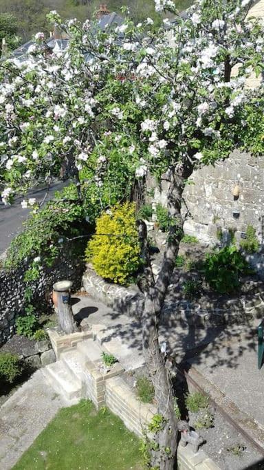 Victoria Boutique Lodge 'Stan" Sea View And Garden Apartment Ventnor Exterior foto