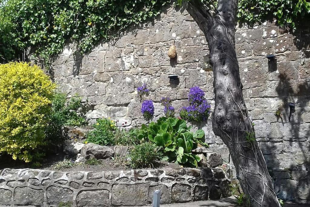 Victoria Boutique Lodge 'Stan" Sea View And Garden Apartment Ventnor Exterior foto